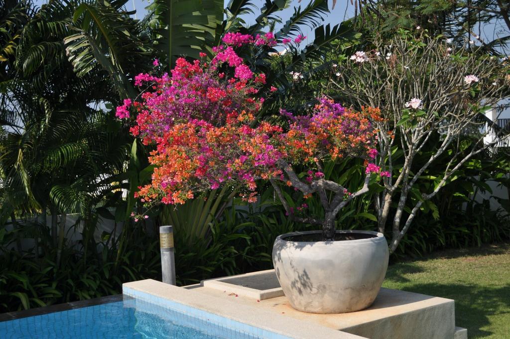 הואה הין Balinese Villa With Private Pool מראה חיצוני תמונה